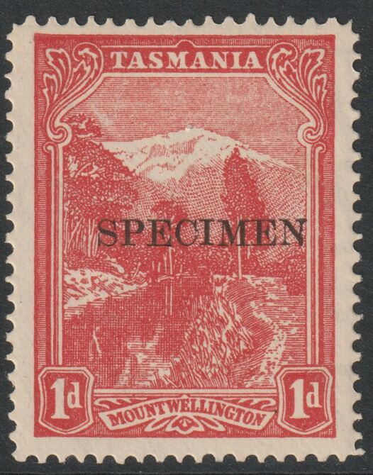 Tasmania 1899 Pictorial 1d overprinted SPECIMEN with gum and only about 750 produced SG 230s, stamps on specimens