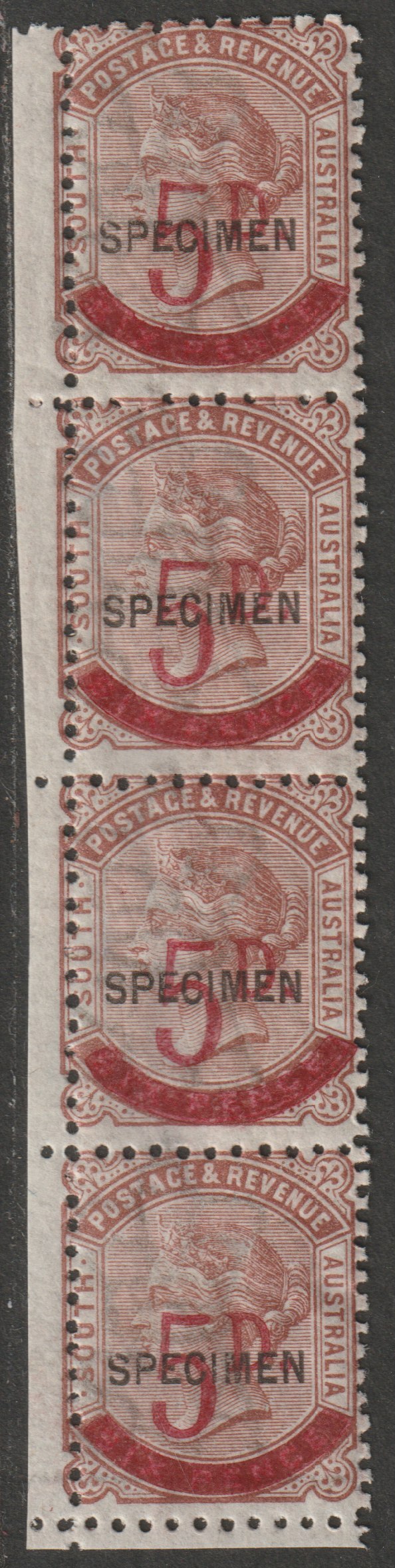 South Australia 1891 QV 5d on 6d vert strip of 4 overprinted SPECIMEN disturbed gum but only 345 produced SG 230s. Specimen multiples are rare, stamps on specimens