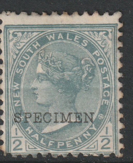 New South Wales 1892 QV  1/2d grey overprinted SPECIMEN  with gum, SG Type 58, stamps on 