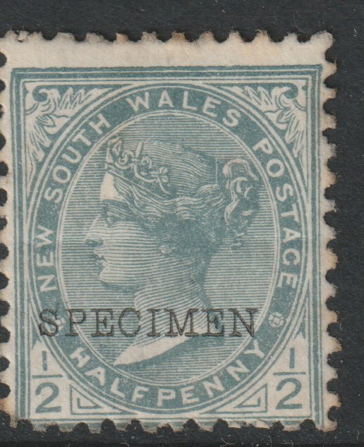 New South Wales 1892 QV  1/2d grey overprinted SPECIMEN  with gum, SG Type 58, stamps on 