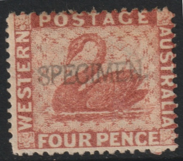 Western Australia 1861 Swan 4d brown-orange handstamped SPECIMEN with gum SG Type 1, stamps on xxx