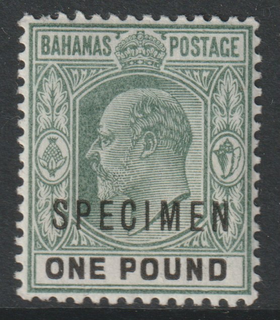 Bahamas 1902 KE7 Â£1 overprinted SPECIMEN with Spur on M variety (Occurs in positions 5, 23, 53 & 59) with gum, stamps on , stamps on  stamps on specimens