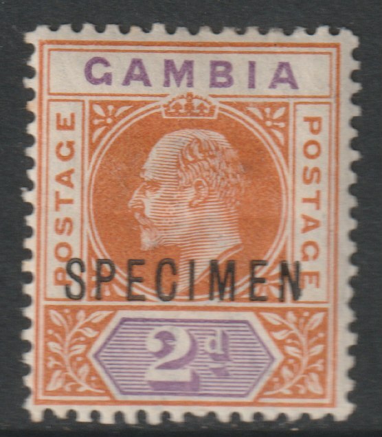 Gambia 1902 KE7 2d overprinted SPECIMEN with Short Footed N variety (Position 30) with gum, stamps on specimens