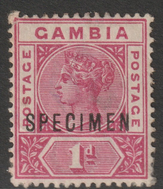 Gambia 1898 QV 1d overprinted SPECIMEN with Damaged P variety (position 42) without gum, stamps on specimens
