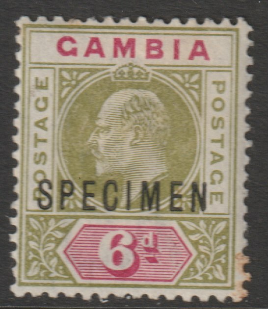 Gambia 1902 KE7 6d overprinted SPECIMEN with Short Footed N variety (Position 30) with gum, stamps on specimens