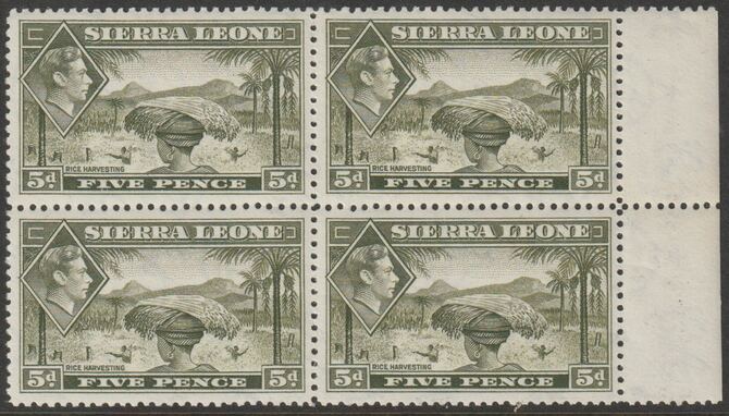 Sierra Leone 1938 Rice Harvesting 5d olive-green lock of 4 unmounted mint SG 194, stamps on rice. kg6 , stamps on 