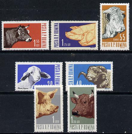 Rumania 1962 Farm Stock set of 7 unmounted mint, SG 2984-90, Mi 2117-23*, stamps on , stamps on  stamps on animals, stamps on  stamps on farming, stamps on  stamps on sheep, stamps on  stamps on ovine, stamps on  stamps on rams, stamps on  stamps on pigs, stamps on  stamps on     swine, stamps on  stamps on bull, stamps on  stamps on bovine, stamps on  stamps on cows, stamps on  stamps on 