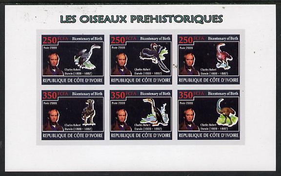 Ivory Coast 2009 Charles Darwin - Prehistoric Birds imperf sheetlet containing 6 values unmounted mint, stamps on , stamps on  stamps on , stamps on  stamps on personalities, stamps on  stamps on science, stamps on  stamps on , stamps on  stamps on birds, stamps on  stamps on dinosaurs, stamps on  stamps on darwin