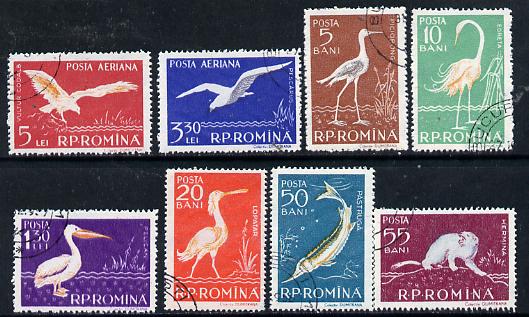 Rumania 1957 Fauna of the Danube perf set of 8 cto used, Mi 1686-93, SG 2552-59*, stamps on , stamps on  stamps on animals, stamps on  stamps on birds, stamps on  stamps on birds of prey, stamps on  stamps on stilt, stamps on  stamps on egret, stamps on  stamps on spoonbil, stamps on  stamps on pelican, stamps on  stamps on gull, stamps on  stamps on eagle