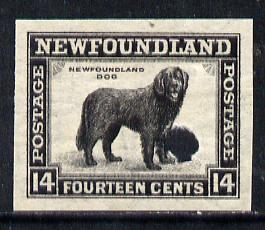 Newfoundland 1941-44 KG6 Newfoundland Dog 14c black imperf PROOF with Waterlow security punch hole, some wrinkles but a scarce KG6 item (as SG 284), stamps on , stamps on  stamps on dogs, stamps on  stamps on  kg6 , stamps on  stamps on newfoundland