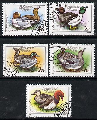 Hungary 1988 Wild Ducks set of 5 cto used, SG 3851-55*, stamps on birds    teal   goldeneye    wigeon    pochard    gadwell