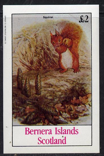 Bernera 1982 Squirrels #1 imperf deluxe sheet (Â£2 value) unmounted mint, stamps on , stamps on  stamps on animals       squirrels     rodents