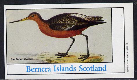 Bernera 1982 Waders (Godwit) imperf souvenir sheet (£1 value) unmounted mint, stamps on birds