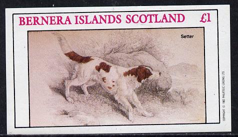 Bernera 1982 Dogs (Setter) imperf souvenir sheet (£1 value) unmounted mint, stamps on animals   dogs    setter