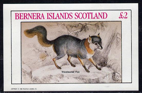 Bernera 1982 Animals (Tricoloured Fox) imperf deluxe sheet (£2 value) unmounted mint, stamps on animals   fox    dogs, stamps on  fox , stamps on foxes, stamps on  