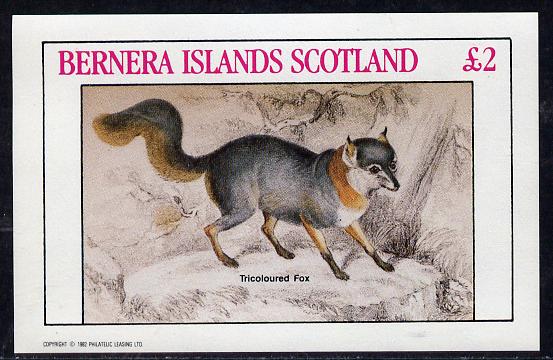 Bernera 1982 Animals (Tricoloured Fox) imperf deluxe sheet (Â£2 value) unmounted mint, stamps on , stamps on  stamps on animals   fox    dogs, stamps on  stamps on  fox , stamps on  stamps on foxes, stamps on  stamps on  