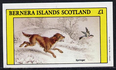 Bernera 1982 Dogs (Springer) imperf souvenir sheet (£1 value) unmounted mint, stamps on animals    dogs    springer