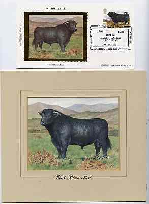 Great Britain 1984 British Cattle - original hand-painted artwork of Welsh Black Bull as used (in reverse) to illustrate Benham silk first day cover (28p value), approx 5 x 4 plus the matching Benham silk cover, a magnificent and attractive unit, stamps on , stamps on stamps on animals, stamps on bovine