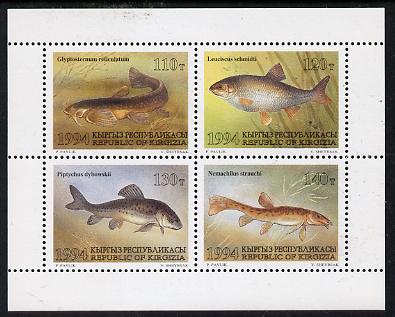 Kyrgyzstan 1994 Fish sheetlet containing set of 4 unmounted mint, stamps on , stamps on  stamps on fish     marine-life