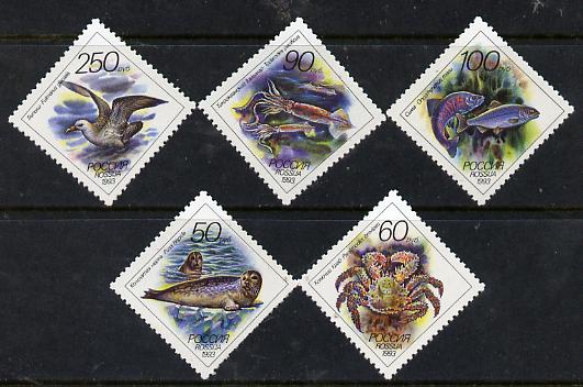 Russia 1993 Sea Animals diamond shaped set of 5 unmounted mint, SG 6423-27, Mi 323-27*, stamps on , stamps on  stamps on marine life, stamps on  stamps on animals, stamps on  stamps on seal, stamps on  stamps on fish, stamps on  stamps on fulmar, stamps on  stamps on diamond, stamps on  stamps on crab