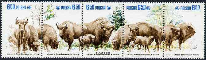 Poland 1981 Protection ofd European Bison se-tenant strip of 5 unmounted mint, SG 2758-62, Mi 2764-68, stamps on bovine   animals