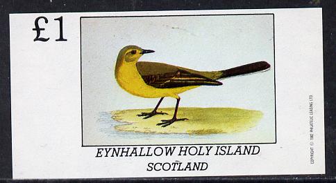 Eynhallow 1982 Yellow Wagtail imperf souvenir sheet (£1 value) unmounted mint, stamps on birds