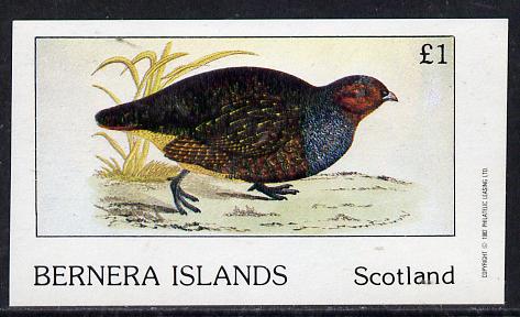 Bernera 1982 Game Birds #1 imperf souvenir sheet (£1 value) unmounted mint, stamps on birds     game