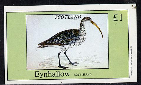 Eynhallow 1982 Waders #3 imperf souvenir sheet (£1 value) unmounted mint, stamps on birds