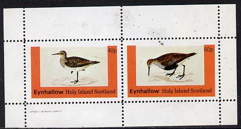 Eynhallow 1982 Waders #4 perf  set of 2 values (40p & 60p) unmounted mint, stamps on birds