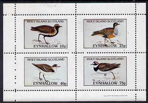 Eynhallow 1981 Waders #2 perf  set of 4 values (10p to 75p) unmounted mint, stamps on , stamps on  stamps on birds