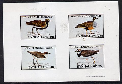 Eynhallow 1981 Waders #2 imperf  set of 4 values (10p to 75p) unmounted mint , stamps on birds