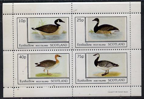 Eynhallow 1981 Ducks #1 perf  set of 4 values (10p to 75p) unmounted mint , stamps on birds