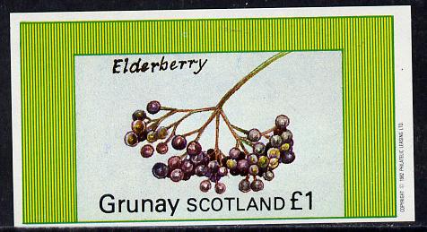 Grunay 1982 Fruits (Elderberry) imperf souvenir sheet (£1 value) unmounted mint, stamps on fruits