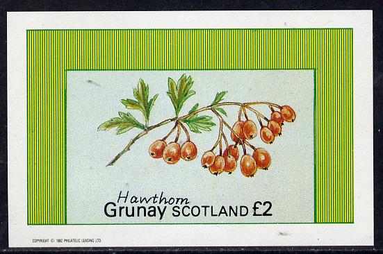 Grunay 1982 Fruits (Hawthorn) imperf deluxe sheet (£2 value) unmounted mint, stamps on fruits