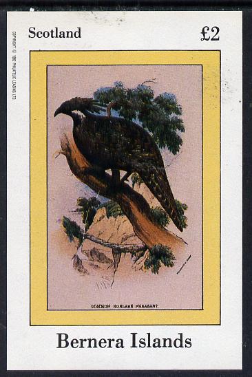 Bernera 1982 Pheasant imperf deluxe sheet (Â£2 value) unmounted mint, stamps on birds     game