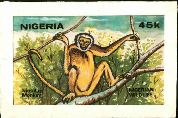 Nigeria 1984 Nigerian Wildlife - original hand-painted artwork for 45k value (Tantalus Monkey) by Godrick N Osuji on card 8.5 inches x 5 inches endorsed D4, stamps on , stamps on  stamps on animals    apes