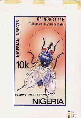 Nigeria 1986 Insects - original hand-painted artwork for 10k value (Bluebottle) by Mrs A O Adeyeye on card 5 x 8.5, no endorsements but signed on back, stamps on , stamps on  stamps on insects