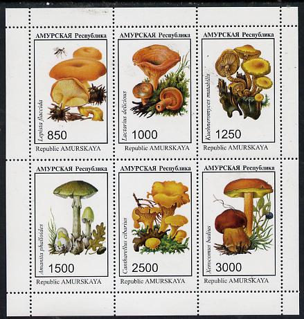 Amurskaja Republic 1997 Mushrooms perf sheetlet containing complete set of 6 unmounted mint, stamps on , stamps on  stamps on fungi