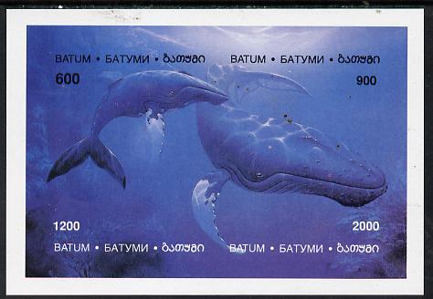 Batum 1994 Whales imperf composite sheetlet containing complete set of 4 values unmounted mint, stamps on , stamps on  stamps on animals    marine-life      whales