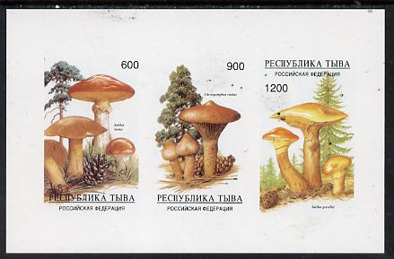 Touva 1997 Mushrooms imperf sheetlet containing complete set of 3 values unmounted mint, stamps on , stamps on  stamps on fungi