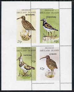 Shetland Islands 1995 Birds perf set of 4 with perforations dramatically misplaced, a superb variety, unmounted mint, stamps on , stamps on  stamps on birds, stamps on  stamps on redshank, stamps on  stamps on turnstone, stamps on  stamps on curlew, stamps on  stamps on lapwing