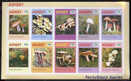 Adigey Republic 1996 Fungi imperf sheetlet containing complete set of 10 unmounted mint, stamps on fungi