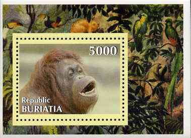 Buriatia Republic 1996 Apes imperf m/sheet unmounted mint, stamps on animals    apes