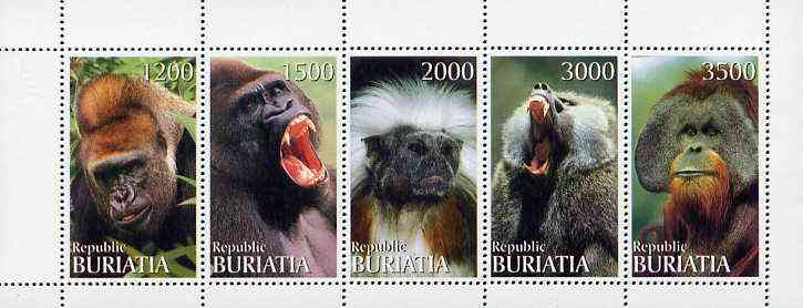 Buriatia Republic 1996 Primates perf set of 5 values unmounted mint, stamps on apes   animals
