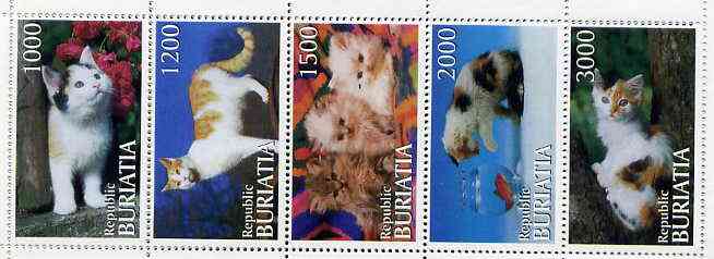 Buriatia Republic 1996 Domestic Cats perf set of 5 values unmounted mint, stamps on cats   animals