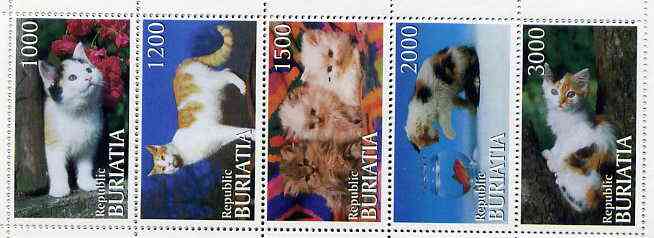 Buriatia Republic 1996 Domestic Cats perf set of 5 values unmounted mint, stamps on , stamps on  stamps on cats   animals