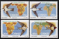 Ciskei 1984 Migratory Birds (Martins & Swallows) set of 4 unmounted mint, SG 60-63*, stamps on , stamps on  stamps on birds, stamps on  stamps on martins, stamps on  stamps on swallows, stamps on  stamps on maps