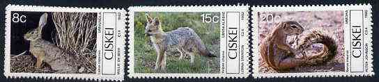 Ciskei 1982 Small Mammals set of 4 unmounted mint, SG 30-33*, stamps on , stamps on  stamps on animals, stamps on  stamps on mammals, stamps on  stamps on hare, stamps on  stamps on fox, stamps on  stamps on squirrel, stamps on  stamps on caracal, stamps on  stamps on dogs, stamps on  stamps on  fox , stamps on  stamps on foxes, stamps on  stamps on  