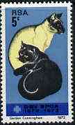 South Africa 1972 Centenary of Societies for the Prevention of Cruelty to Animals (Cats) unmounted mint, SG 312*