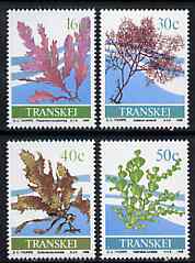 Transkei 1988 Seaweed set of 4 unmounted mint, SG 213-16*, stamps on marine-life, stamps on seaweed